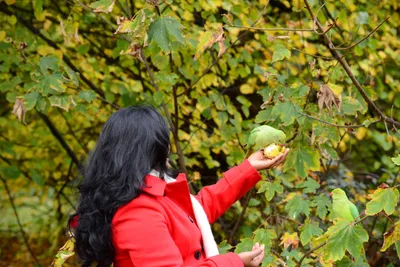 DSC_0511 (Large).JPG